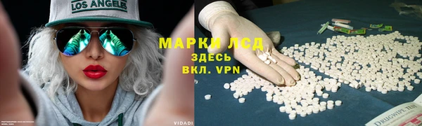 ешки Алексин
