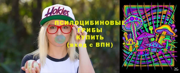 ешки Алексин